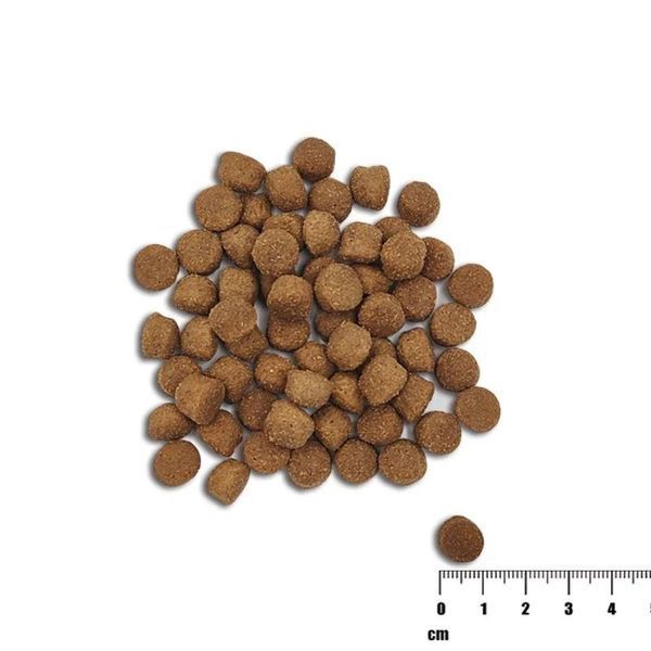 Raw Paleo Healthy Grain Puppy Salmon - Пълноценна и балансирана суха храна за подрастващи кучета от всички породи със сьомга и ечемик